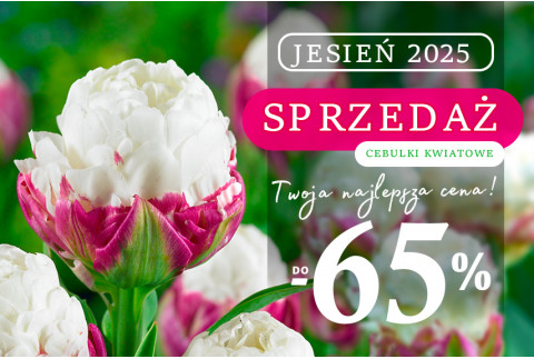 Sezon Jesień 2025 - Otwarty!