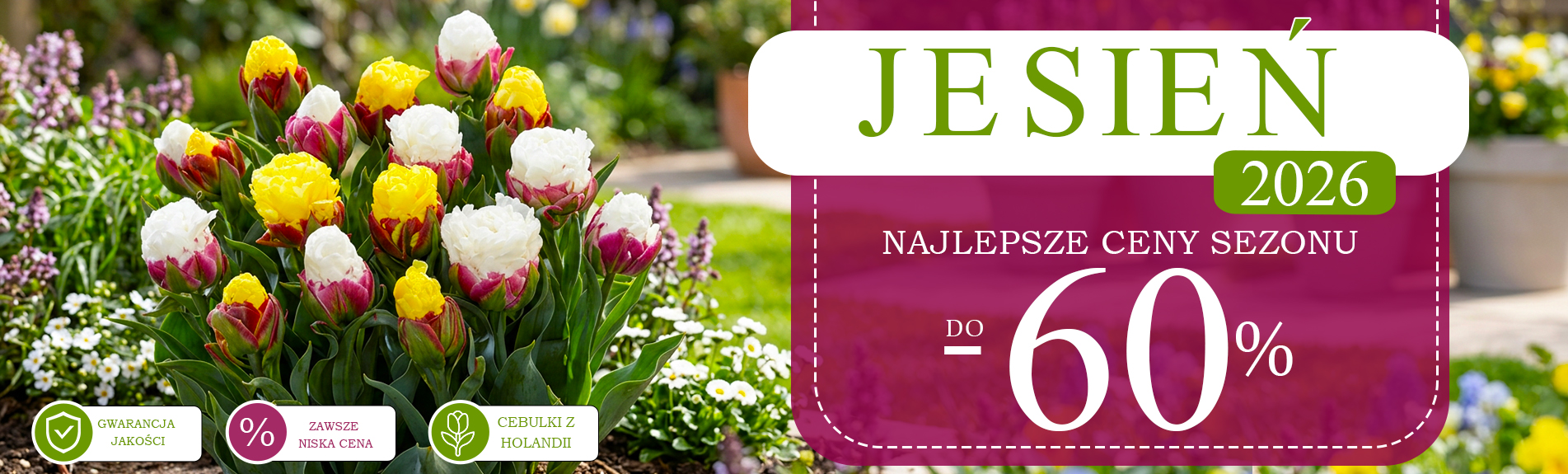 Jesienne cebulki już w sprzedaży