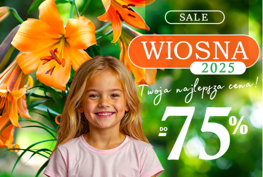 Sezon Wiosna 2025 - Otwarty!