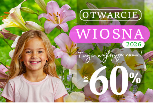 Sezon Wiosna 2026 - Otwarty!