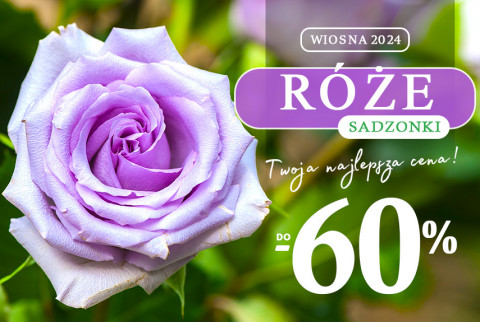 Róże - królowe waszego ogrodu	