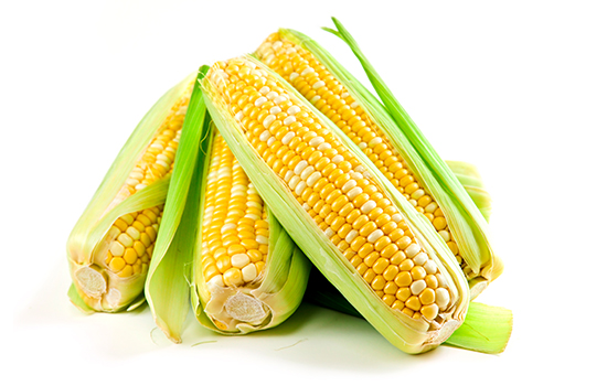 Jak i gdzie przechowywać kukurydzę: najlepsze sposoby przechowywania kukurydzy
