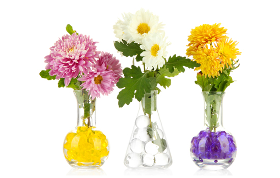 Hydrożel dla roślin i jego cechy: odsłaniając zasłonę tajemnicy