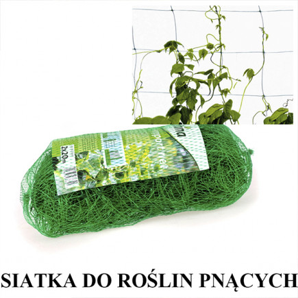 Plantina Siatka dla roślin pnących 2x10m Planta