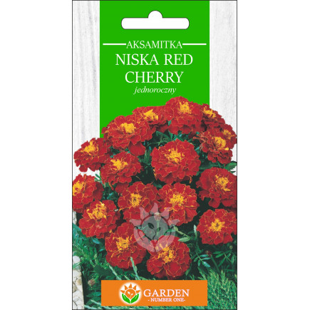 Aksamitka niska Red Cherry (Tagetes patula nana) 1 g