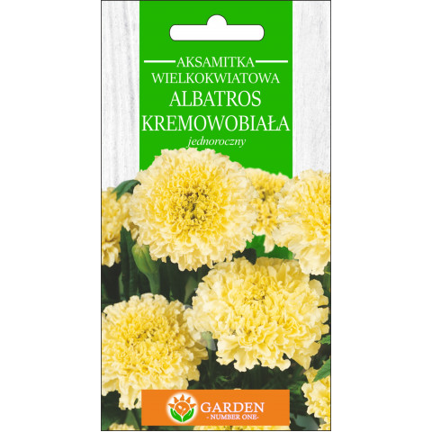 Aksamitka wielkokwiatowa Albatros Kremowobiała (Tagetes erecta nana) 0.3 g 