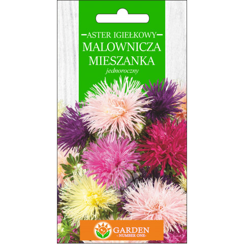 Aster igiełkowy - Malownicza Mieszanka (Callistephus chnensis) 1 g 