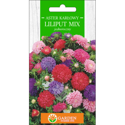 Aster karłowy Liliput MIX (Callistephus chnensis) 1 g 