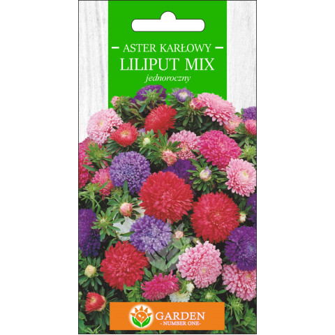 Aster karłowy Liliput MIX (Callistephus chnensis) 1 g 