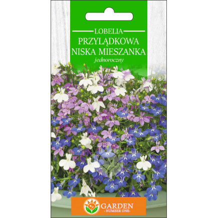 Lobelia przylądkowa niska Mieszanka (Lobelia erinus) 0.2 g 