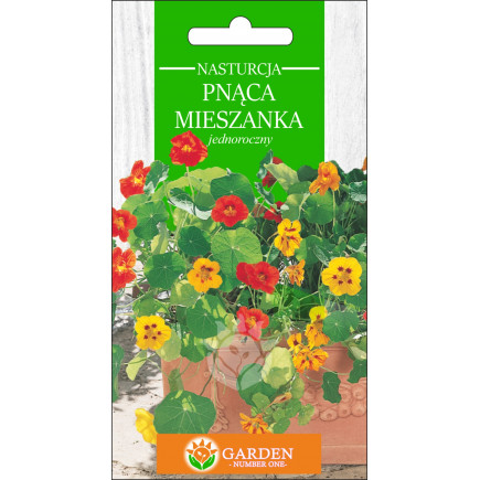 Nasturcja pnąca Mieszanka (Tropaeolum majus) 2 g 