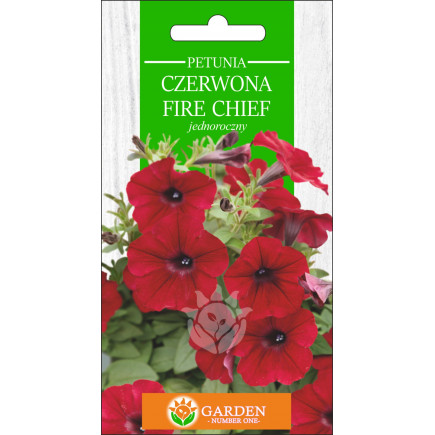 Petunia czerwona Fire Chief (Petunia x hybrida) 0.2 g 