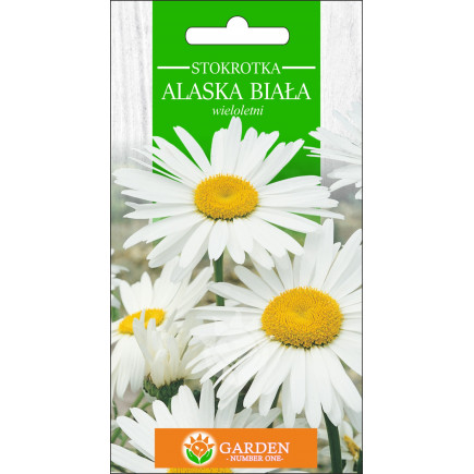 Stokrotka Alaska Biała (Chrysanthemum maximum) 1 g 