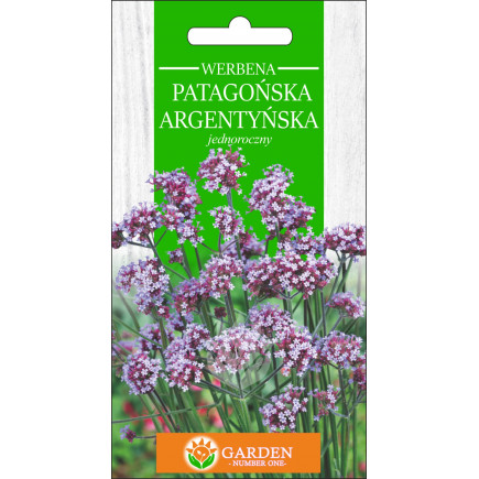 Werbena Patagońska Argentyńska (Werbena x hybrida) 0.3 g 