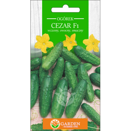 Ogórek Cezar F1 5 g 