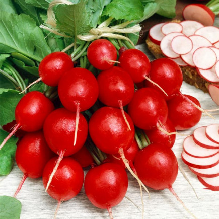 Rzodkiewka Cherry Belle