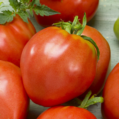 Pomidor Cuor di Bue 0.3 g