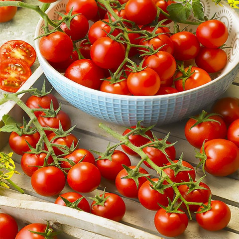 Pomidor Gartenperle 0.3 g