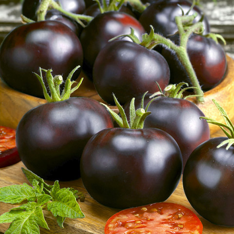 Pomidor Gruntowy Black Prince 0,3 g 