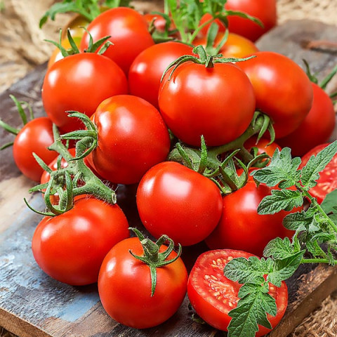 Pomidor Krakus 0.5 g