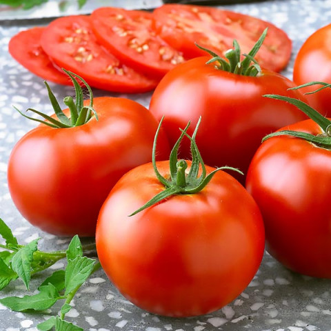 Pomidor Pedro F1 0.5 g